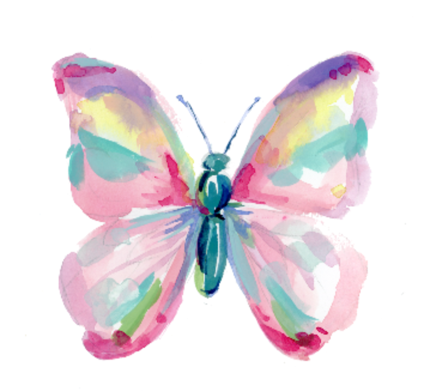 Colorful butterfly illustration on a white background